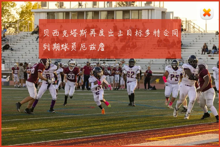 贝西克塔斯再度出击目标多特合同到期球员厄兹詹