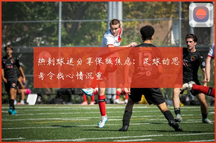 热刺球迷分享保级焦虑：足球的思考令我心情沉重